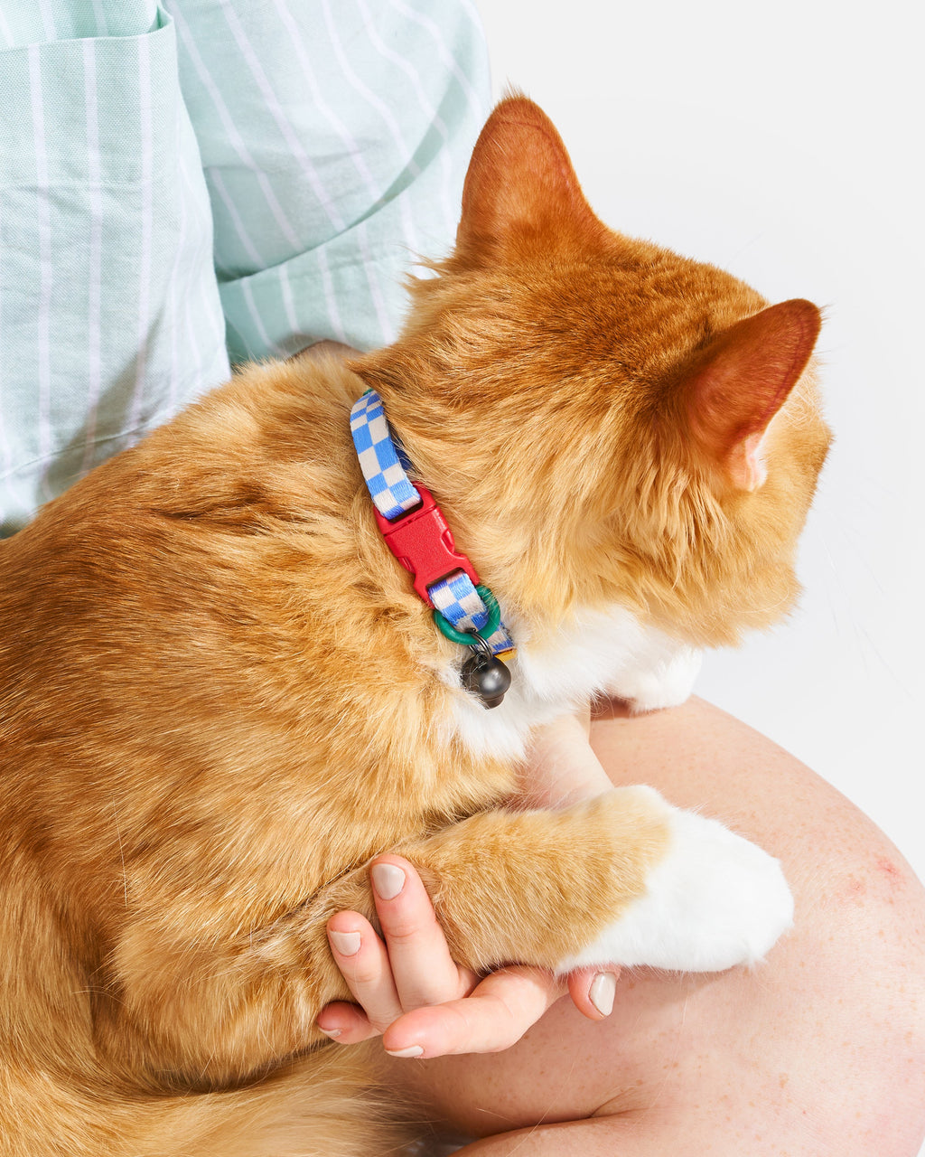 Breakaway Cat Collar product image 13