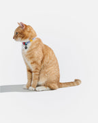 Breakaway Cat Collar product image 15