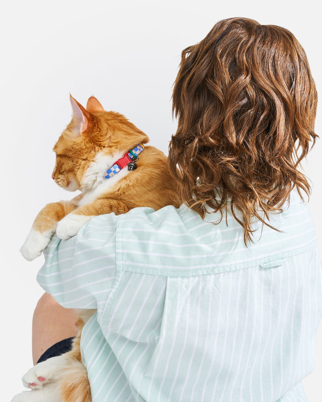 Breakaway Cat Collar product image 16