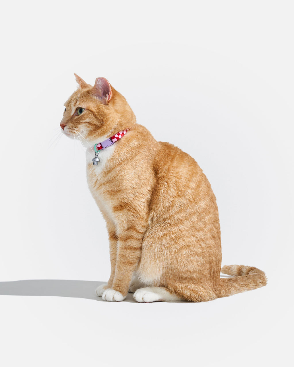 Breakaway Cat Collar product image 20