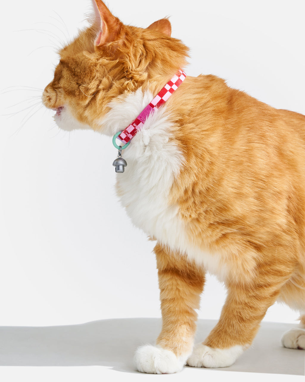 Breakaway Cat Collar product image 21