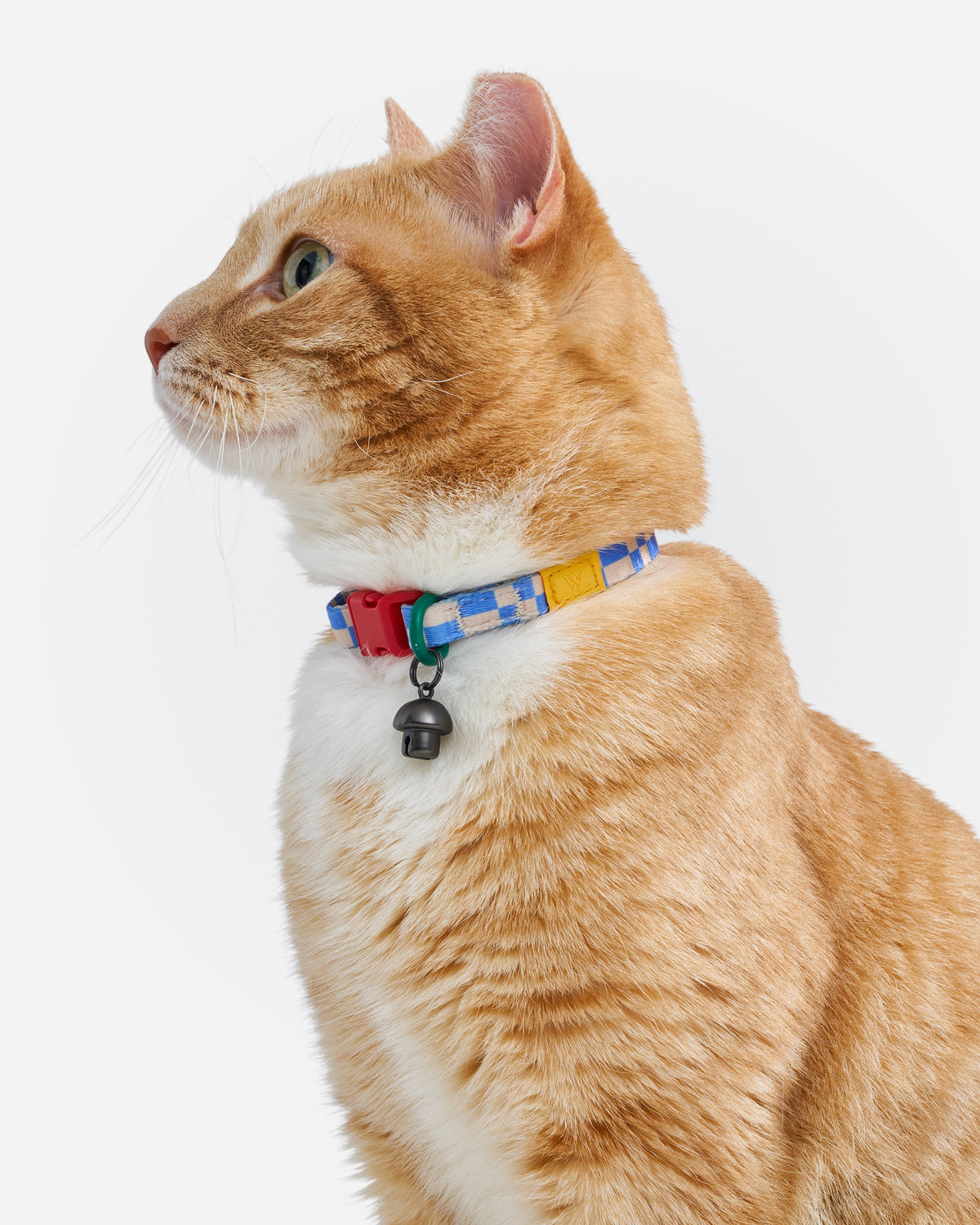 Breakaway Cat Collar product image 26