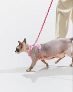 Cat Harness Set product image 2