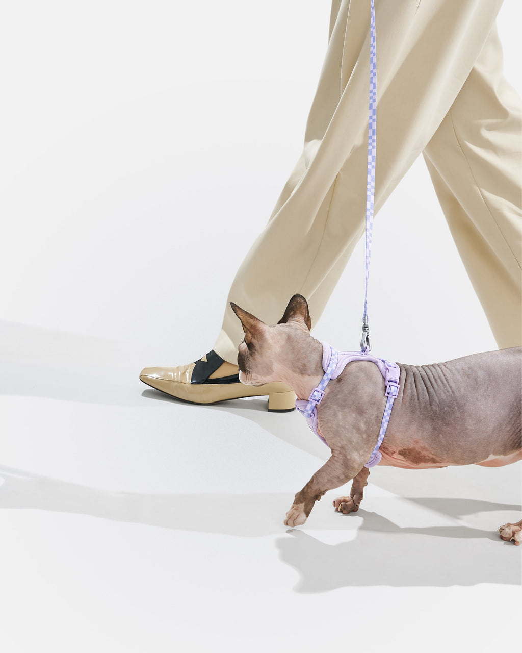 Cat Harness Set product image 4