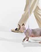 Cat Harness Set product image 4