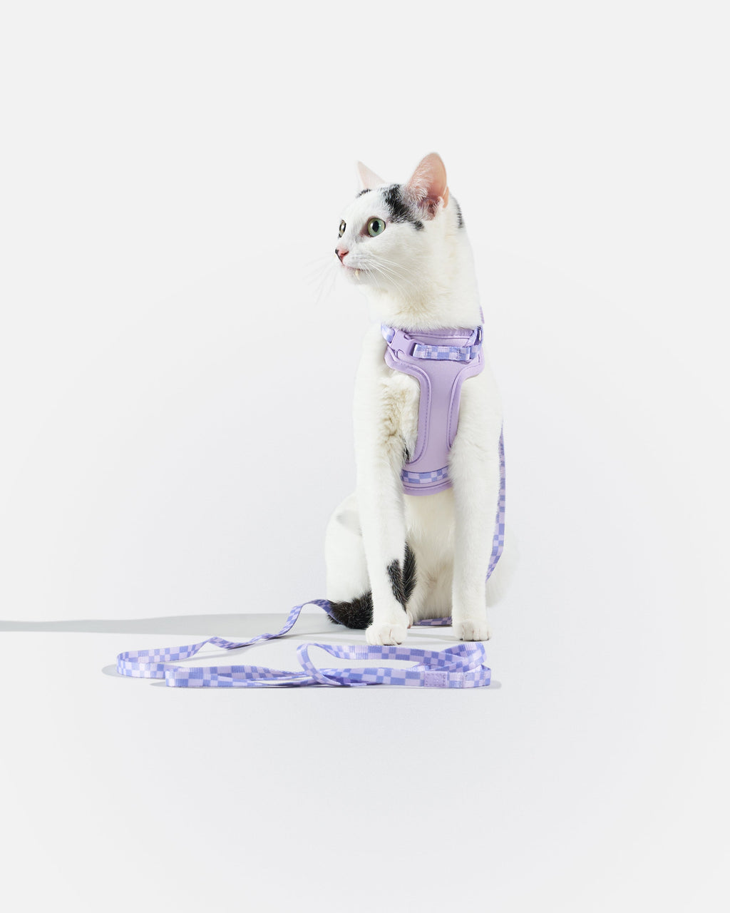 Cat Harness Set product image 5