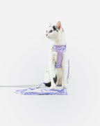 Cat Harness Set product image 5