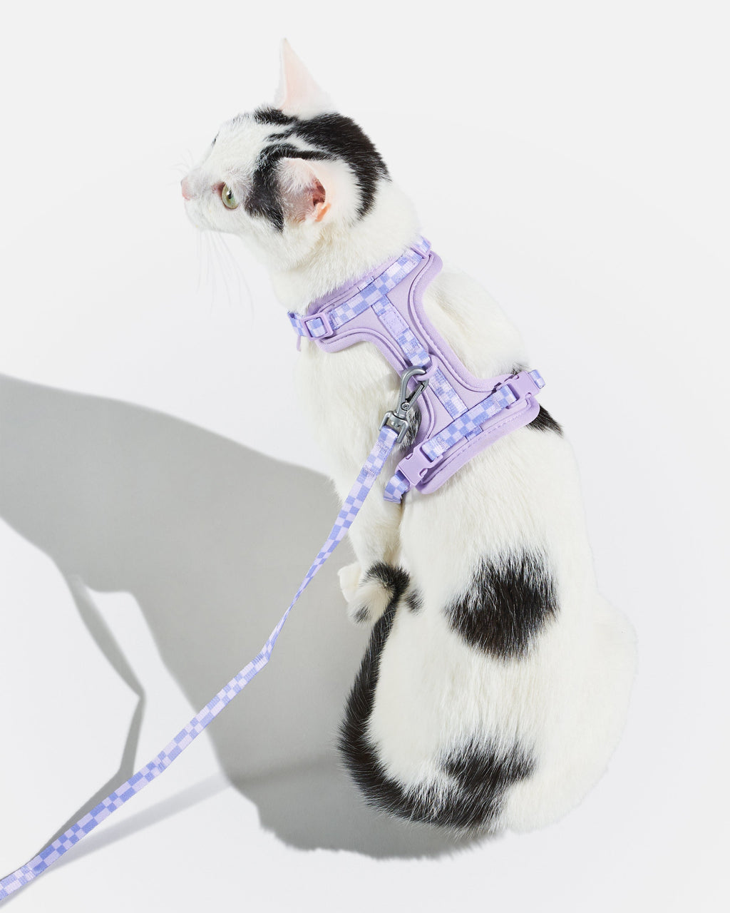 Cat Harness Set product image 6
