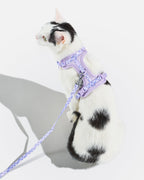 Cat Harness Set product image 6