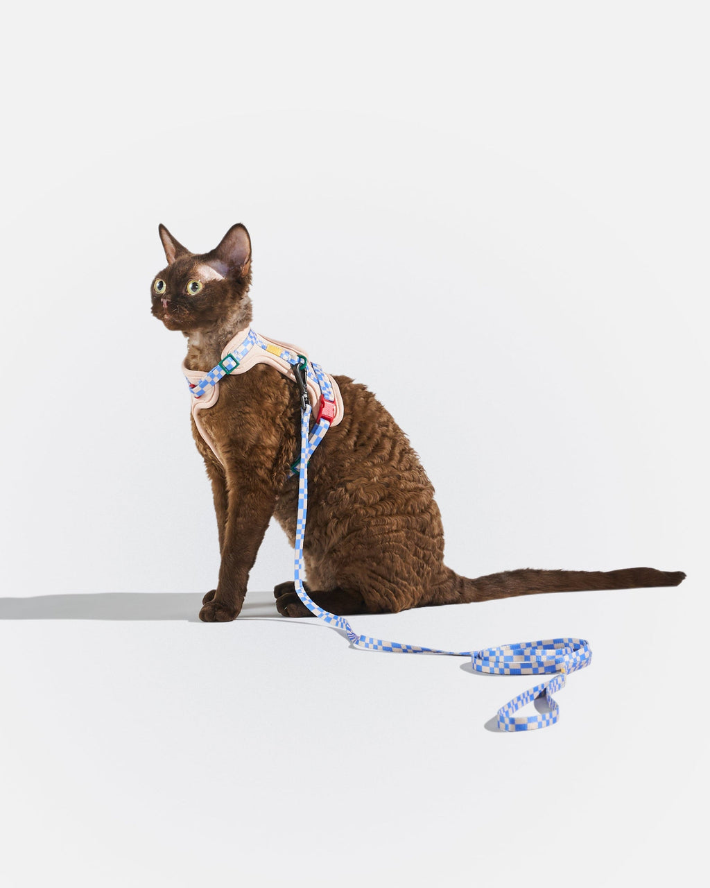 Cat Harness Set product image 11