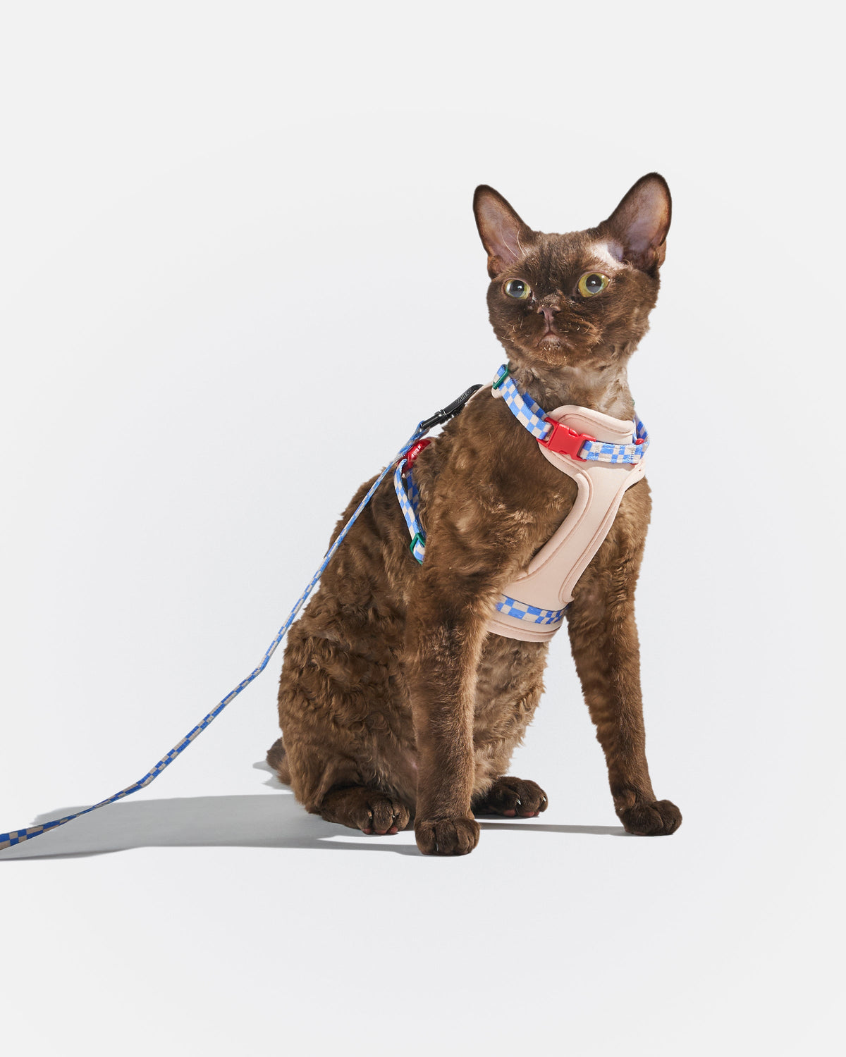 Cat Harness Set product image 12