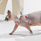 Cat Harness Set product image 16
