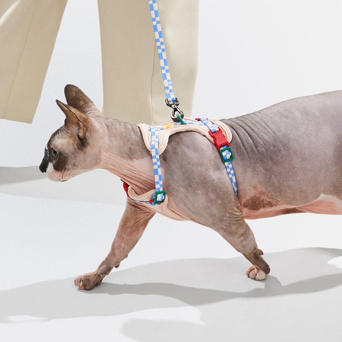 Cat Harness Set product image 16