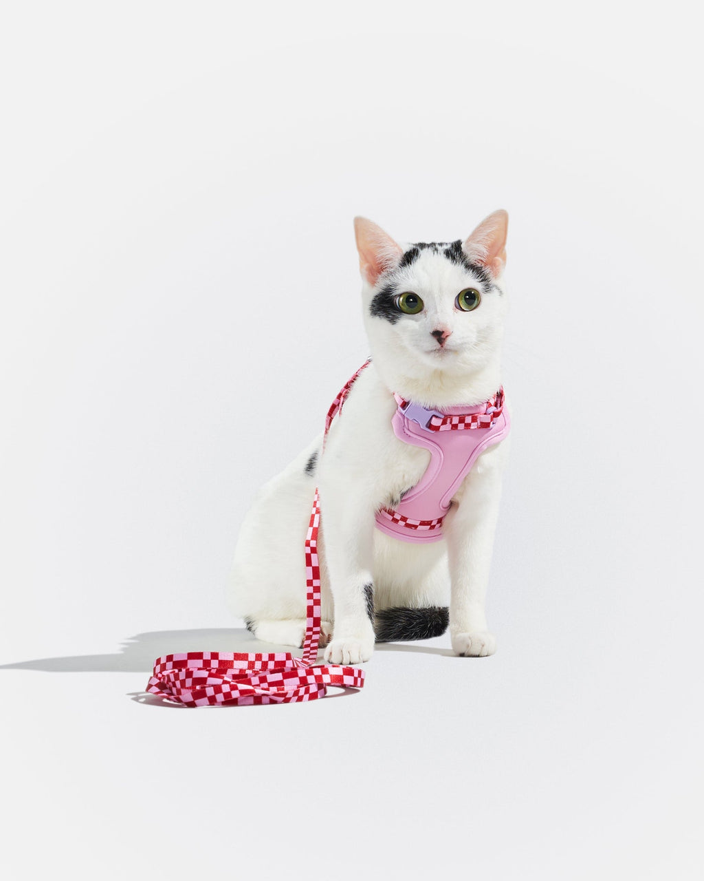 Cat Harness Set product image 17