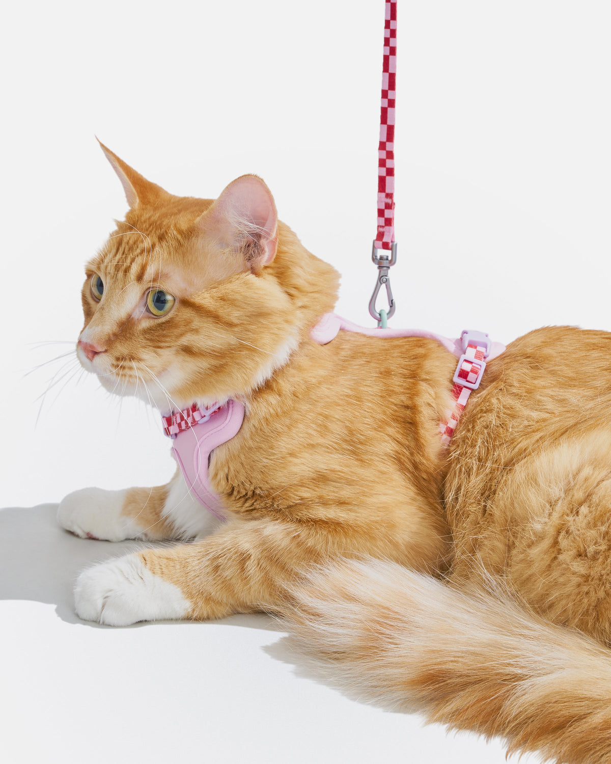 Cat Harness Set product image 18