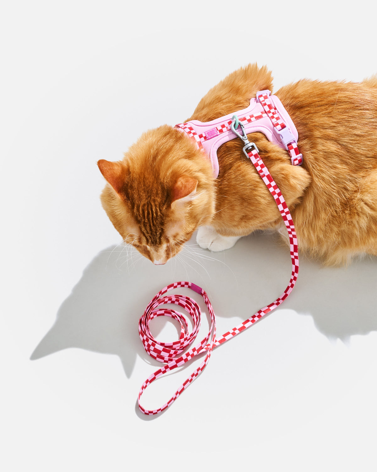 Cat Harness Set product image 21
