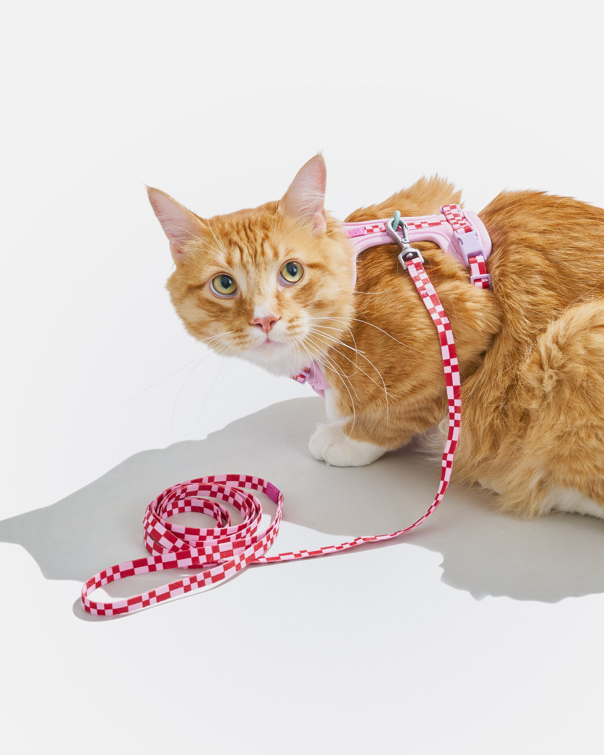 Cat Harness Set product image 22