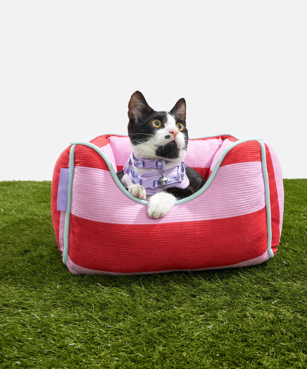 Cat Bolster Bed product image 2