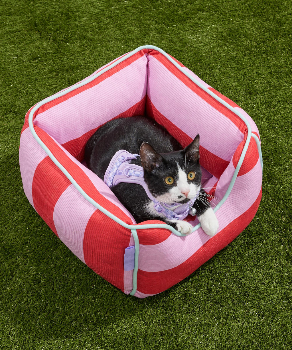 Cat Bolster Bed product image 4