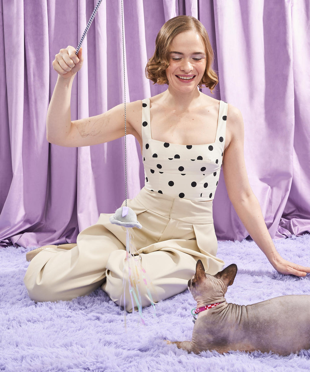 Cat Wand Toy product image 3