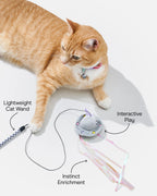 Cat Wand Toy product image 4