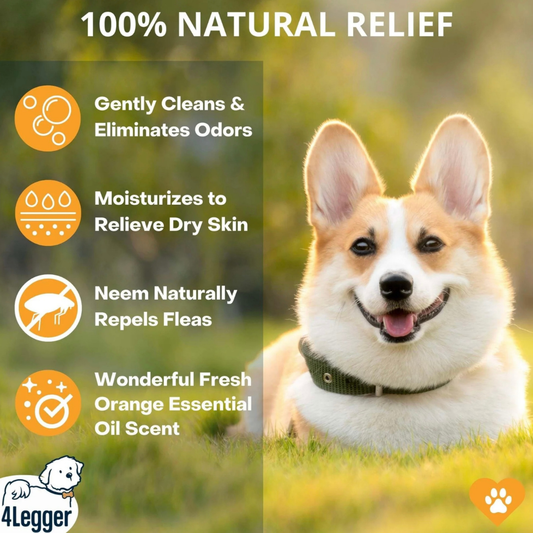Dog Shampoo product image 3