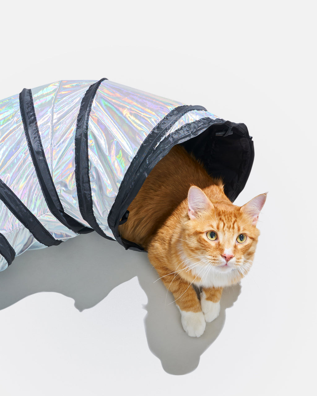 Cat Tunnel product image 7