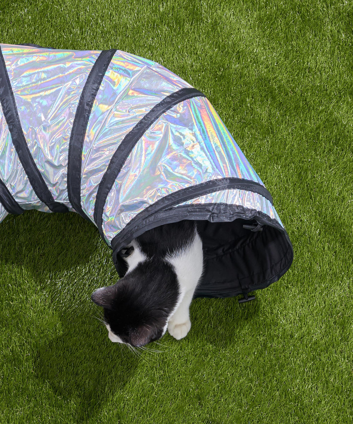 Cat Tunnel product image 16