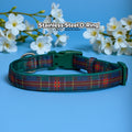 Neoprene Dog Collar product image 1