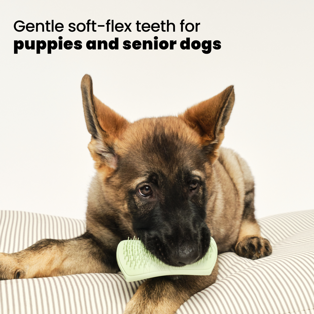 Puppy Grooming Brush product image 3
