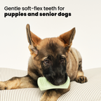 Puppy Grooming Brush product image 3