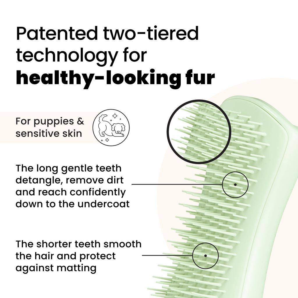 Puppy Grooming Brush product image 4