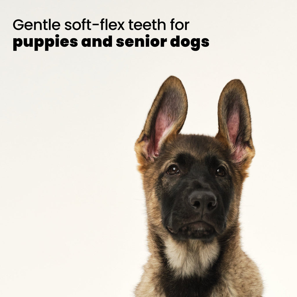 Puppy Grooming Brush product image 9