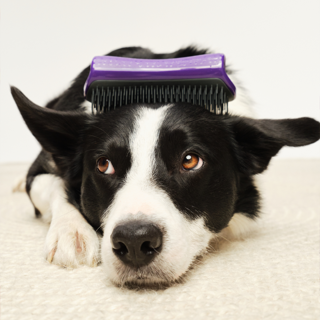 De-Shedding Dog Grooming Brush product image 5
