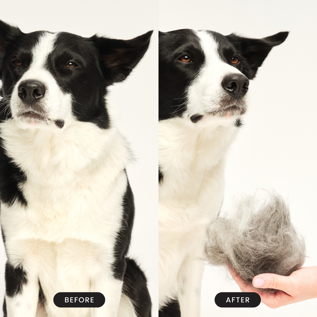 De-Shedding Dog Grooming Brush product image 6