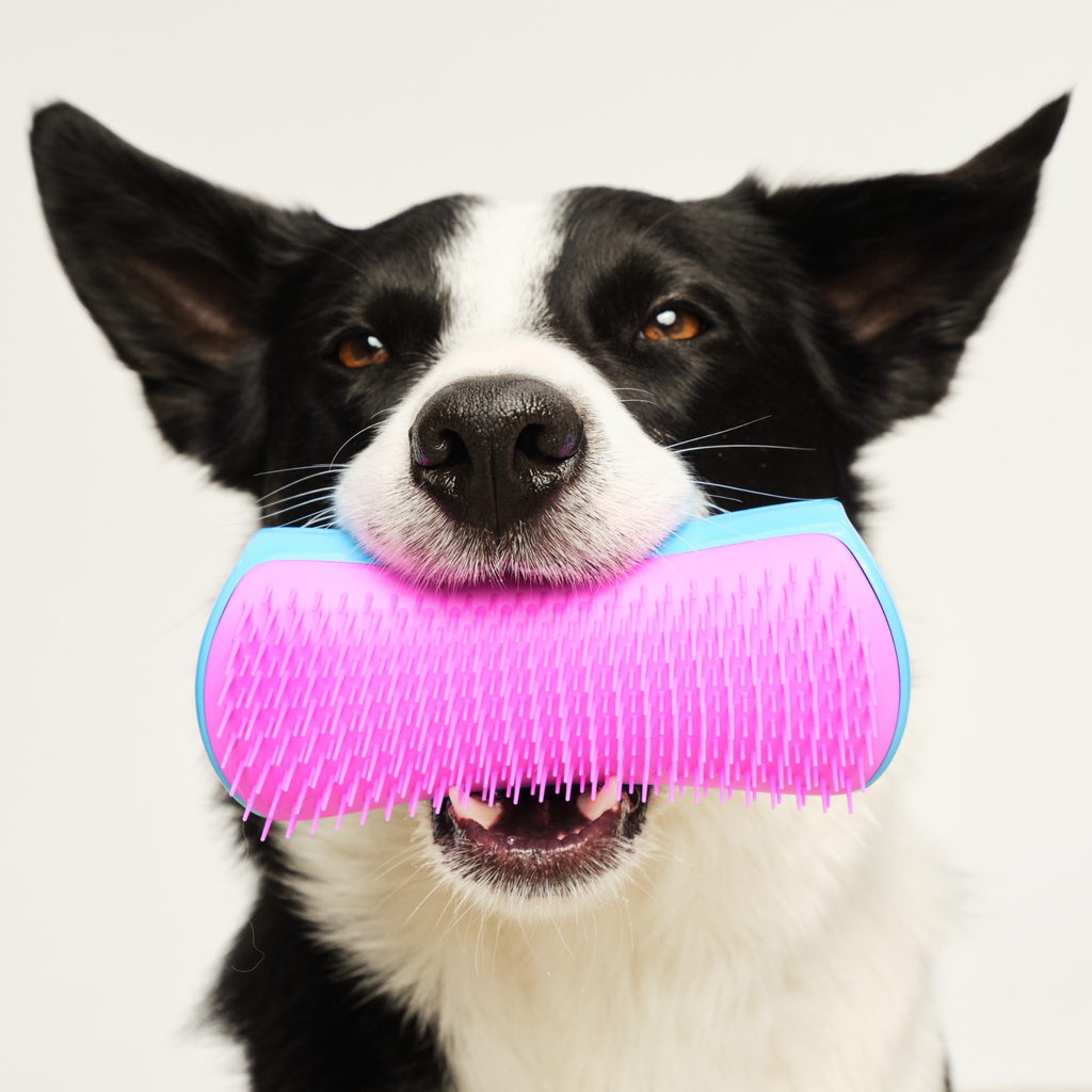 De-Shedding Dog Grooming Brush product image 12