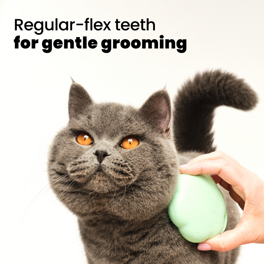 Cat Grooming Brush product image 3