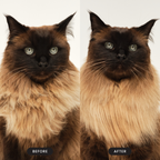 Cat Grooming Brush product image 6