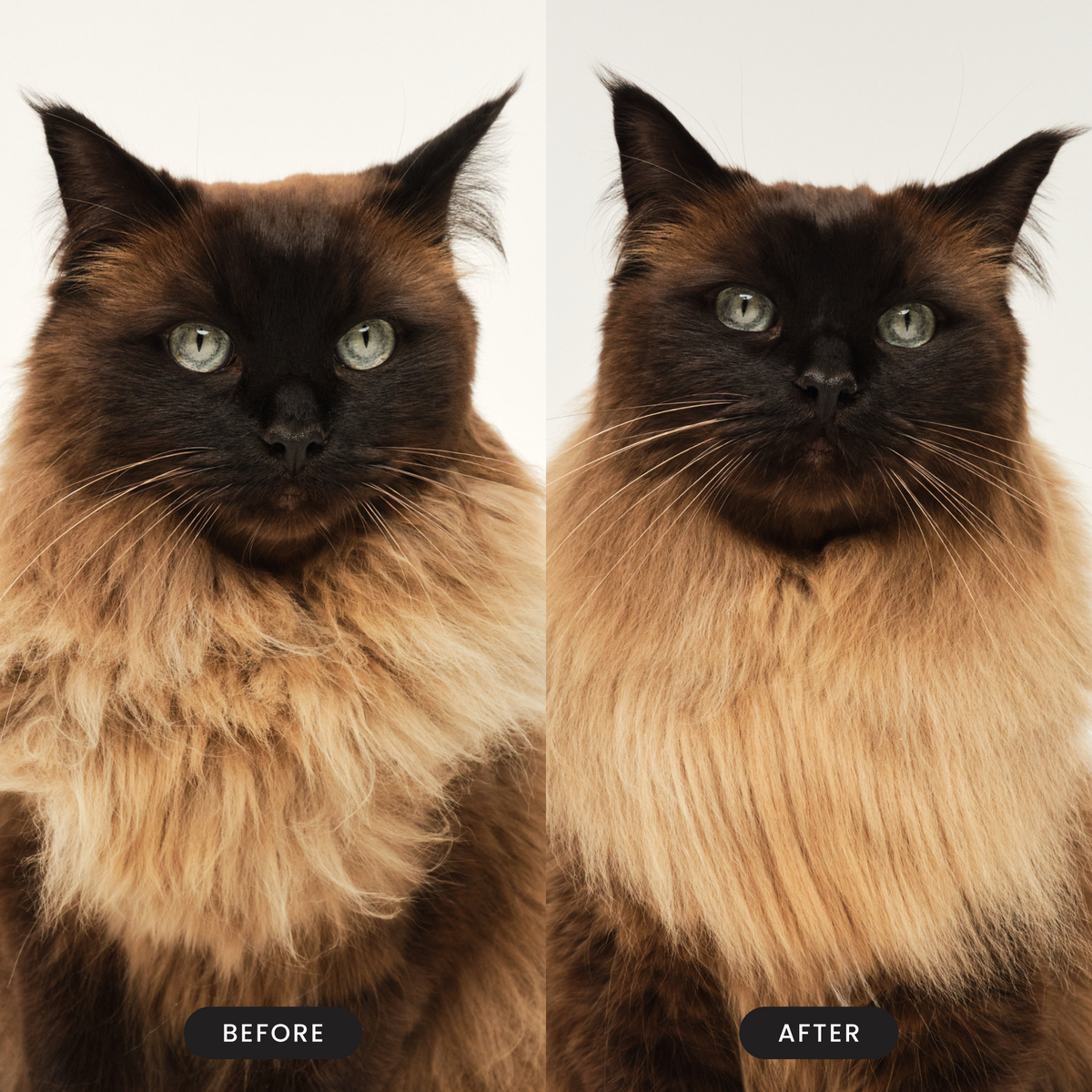 Cat Grooming Brush product image 6