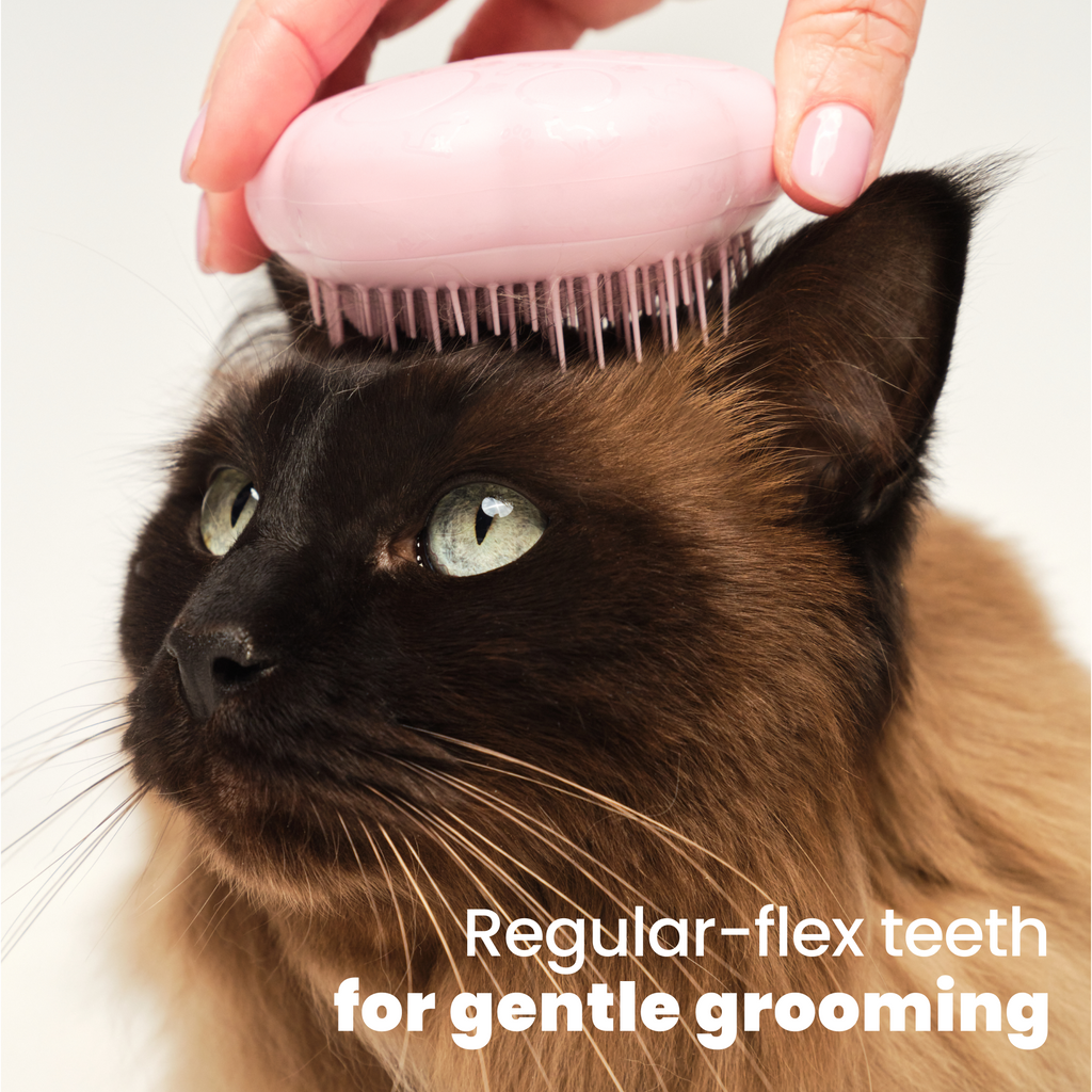 Cat Grooming Brush product image 9