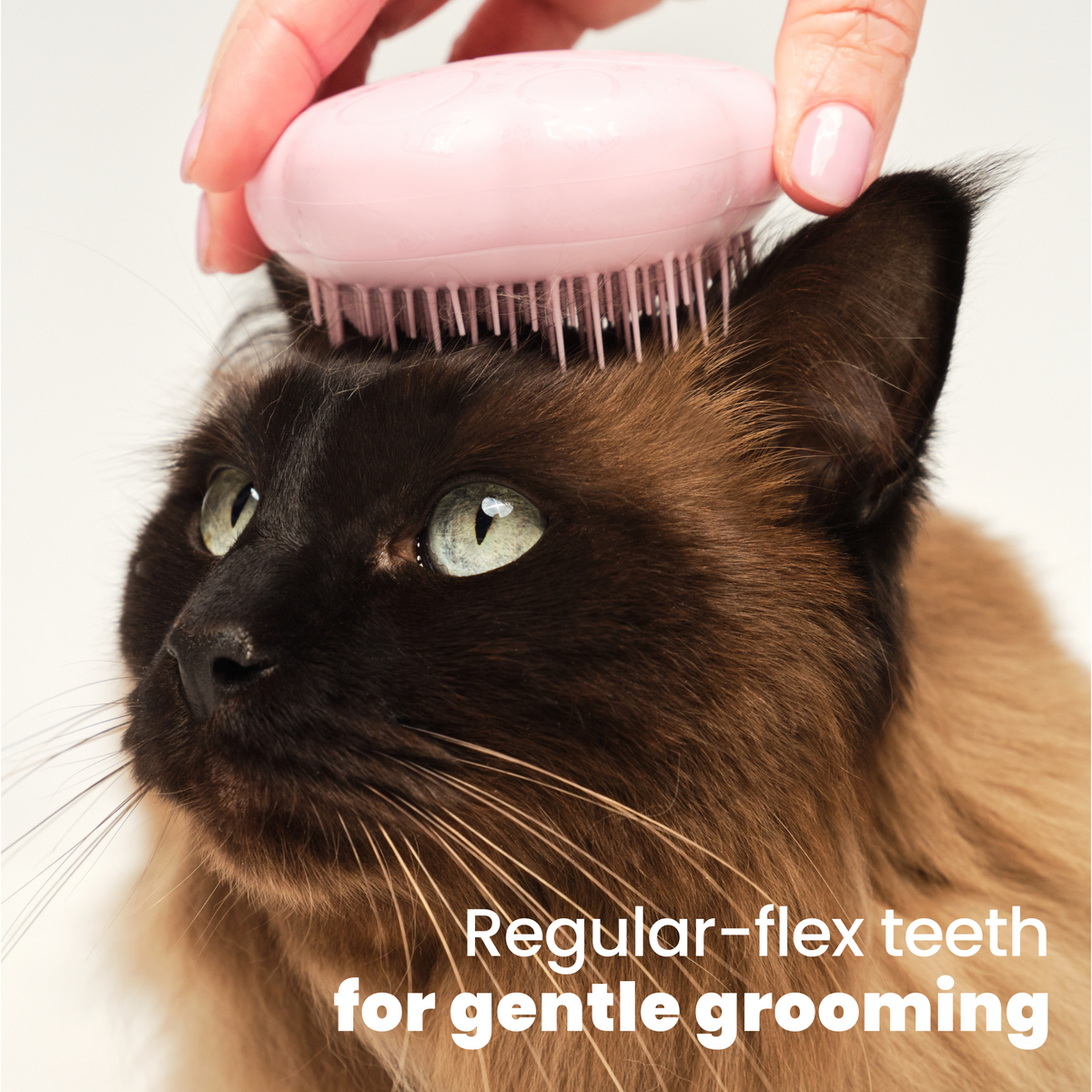Cat Grooming Brush product image 9