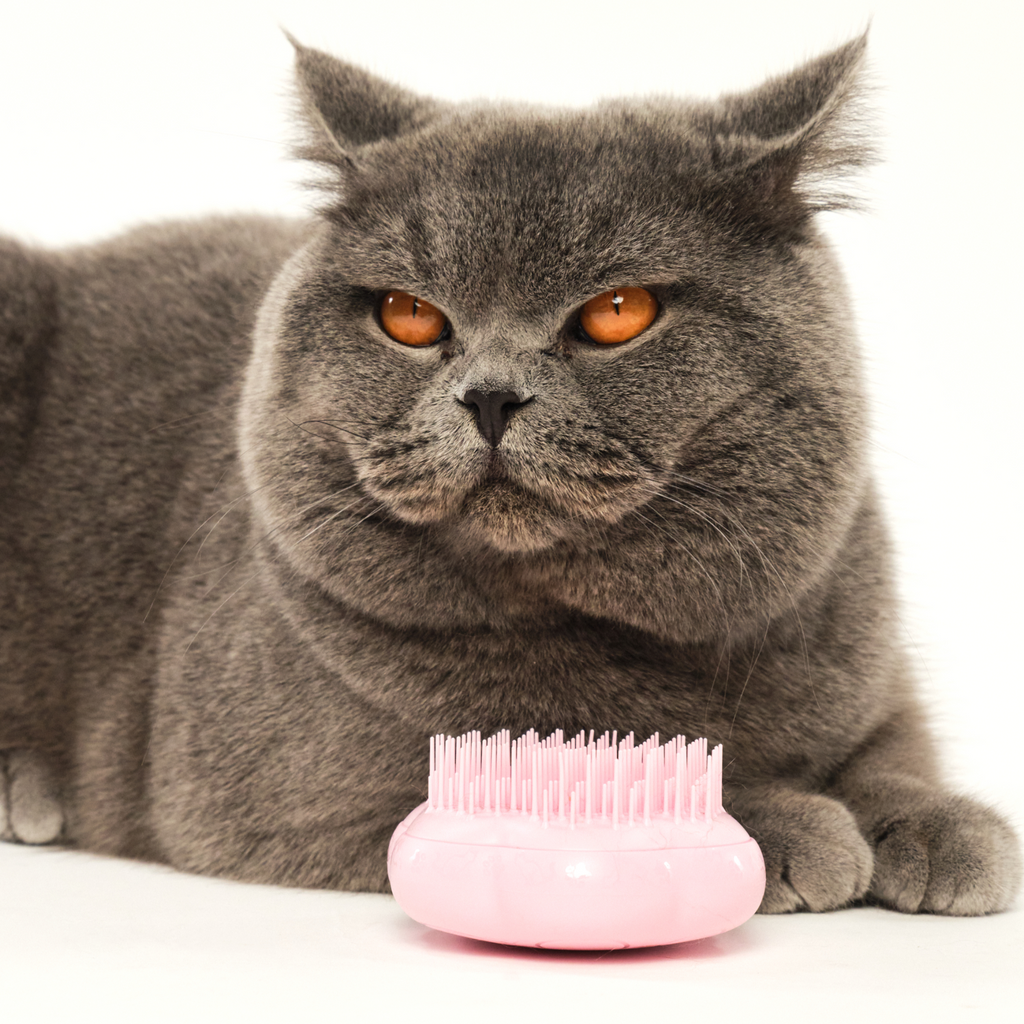 Cat Grooming Brush product image 11