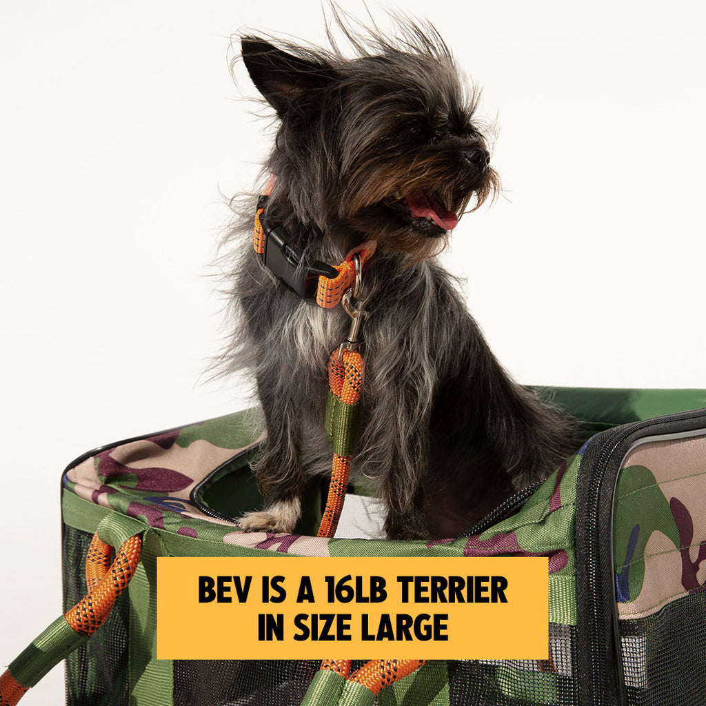 Soft-Sided Pet Carrier product image 10