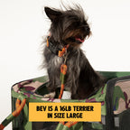 Soft-Sided Pet Carrier product image 10