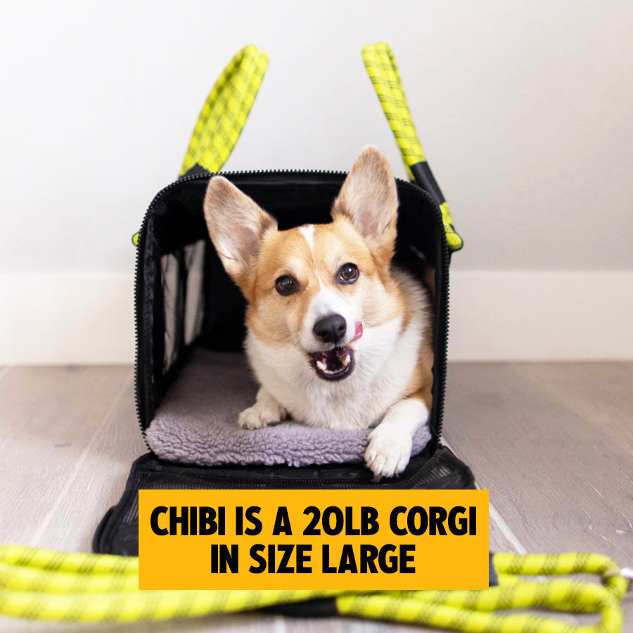 Soft-Sided Pet Carrier product image 22
