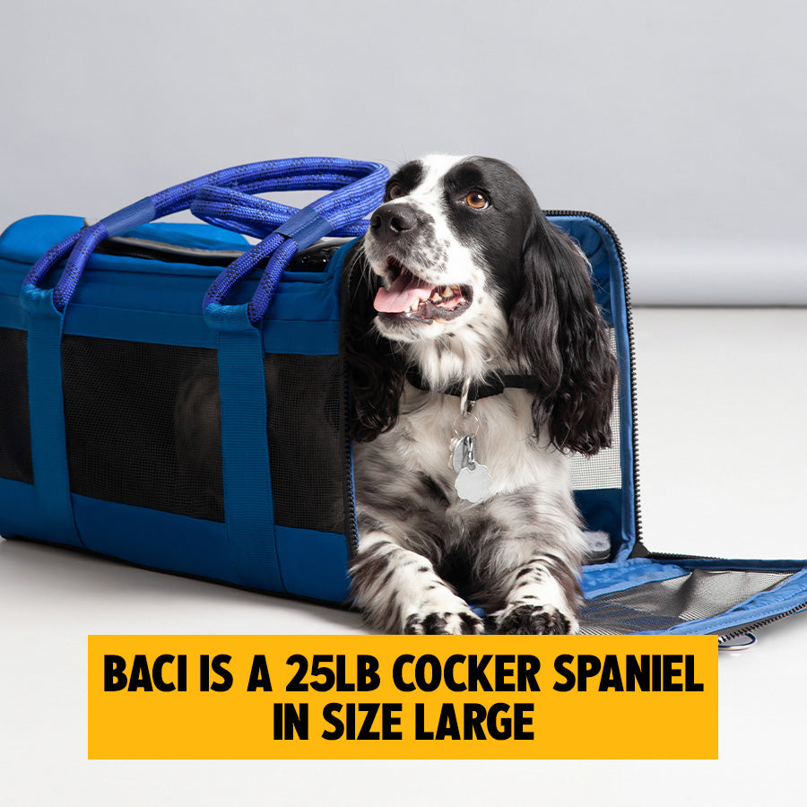 Soft-Sided Pet Carrier product image 39