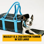Soft-Sided Pet Carrier product image 45