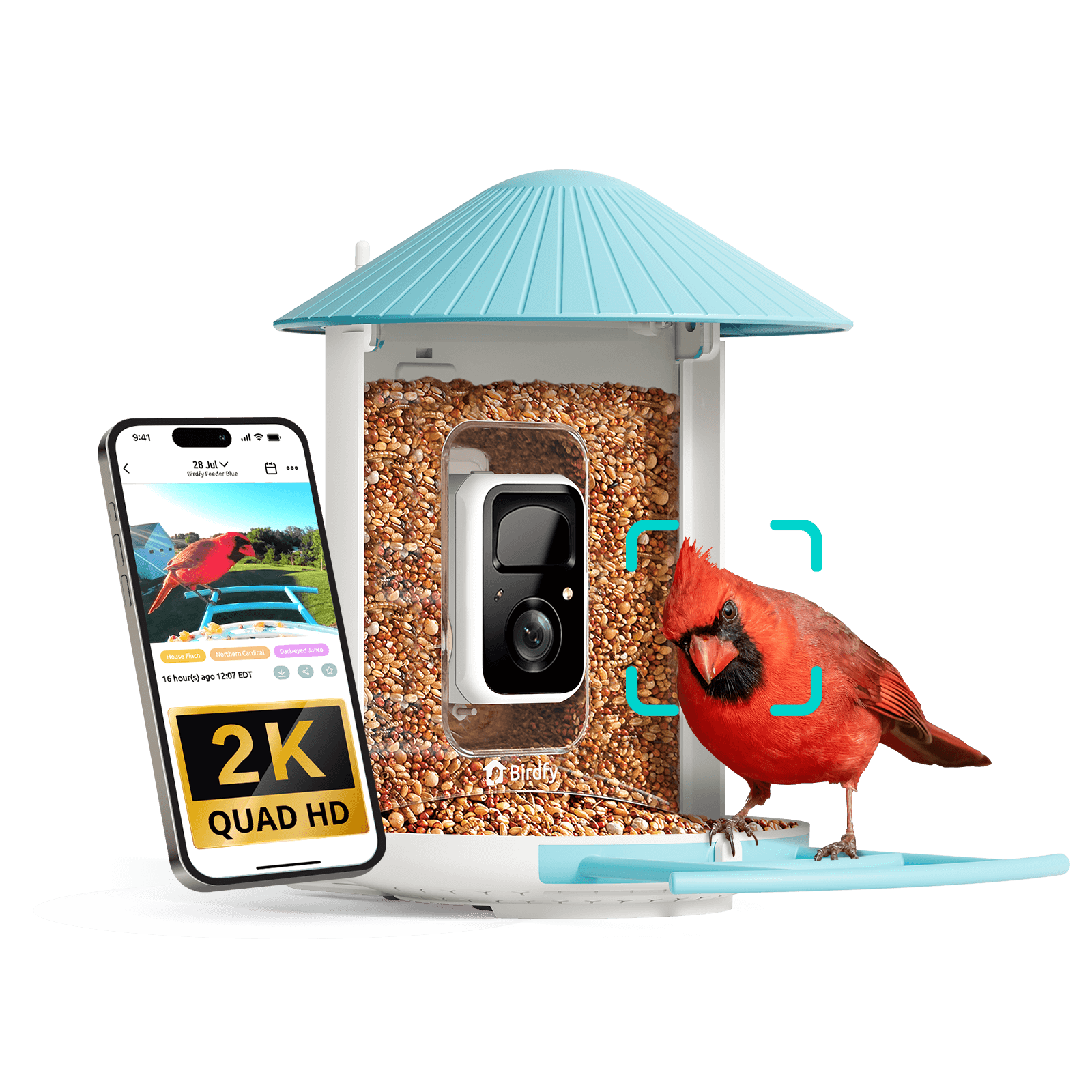 Smart Bird Feeder Camera Standard Kit / AI Lifetime Free