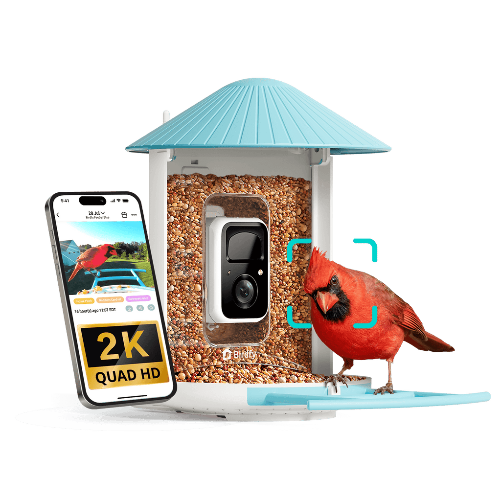 Smart Bird Feeder Camera product image 8