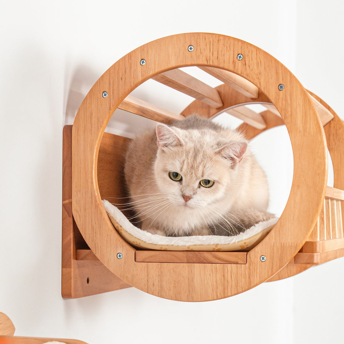 Wall Mounted Cat Tunnel product image 3